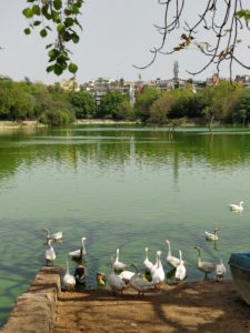 Hauz Khas Lake