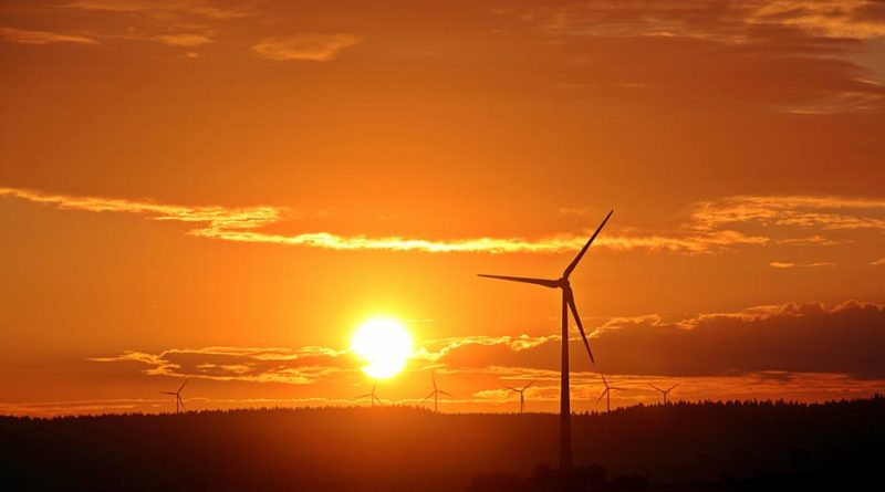 Windmill Farm