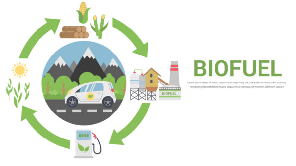 biofuel Cycle - Renewable Energy and Environmental Sustainability in India