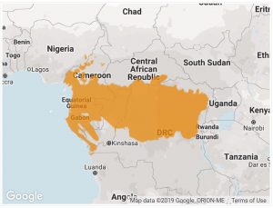 Map of Congo Basin