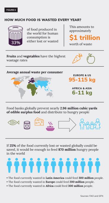 Food Banks are Green Solution to Hunger: 'Waste Not, Want Not' Report