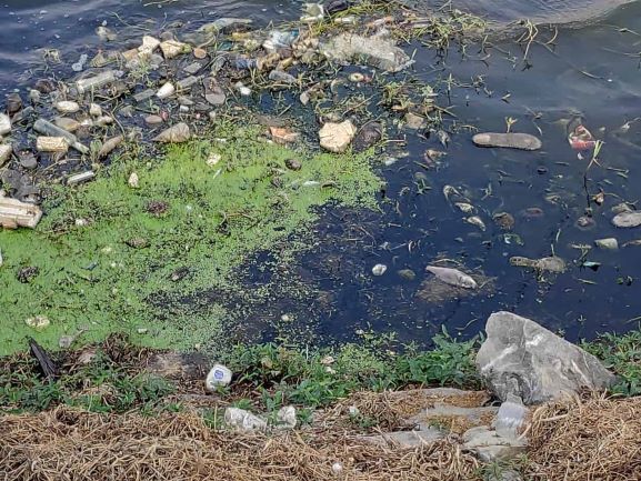 Botched Restoration of Paruthipattu Lake Typifies the Story of Chennai ...