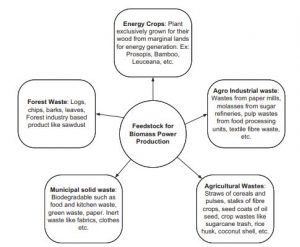 Biomass Classification