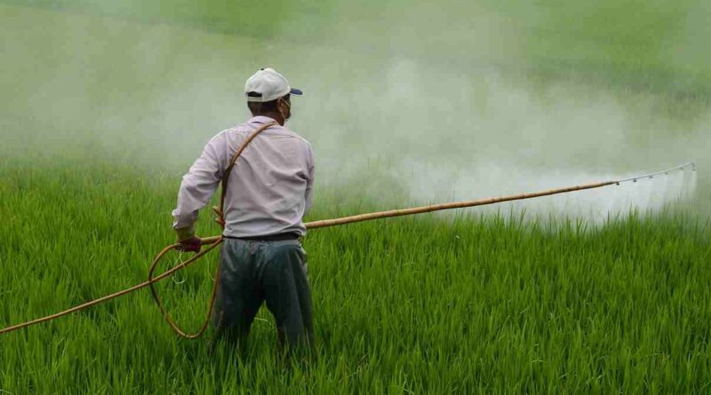 chemical pesticides