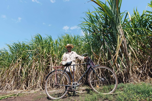 In India’s Ethanol Rush, Sugarcane Farmers Feel Neglected