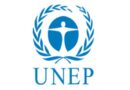 Developing Economies Need RE solutions for Growth: UNEP