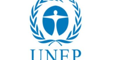 Developing Economies Need RE solutions for Growth: UNEP