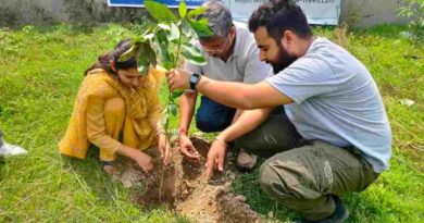 Trees for Shri Mata Vaishno Devi