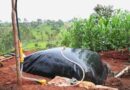 Sistema.bio secures $3.5 mn from Novastar Ventures to accelerate growth in African market biogas CBG biofuels bioenergy