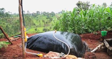 Sistema.bio secures $3.5 mn from Novastar Ventures to accelerate growth in African market biogas CBG biofuels bioenergy